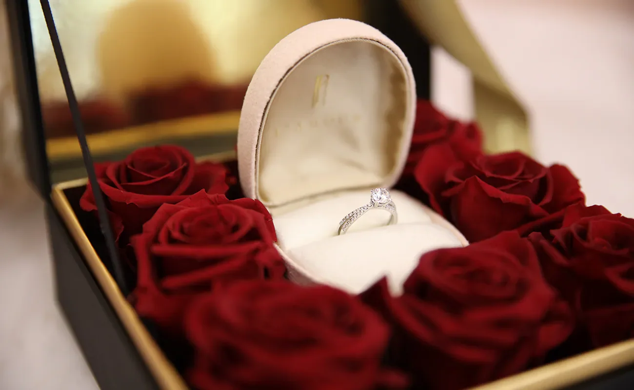 耶誕求婚大作戰 Say Yes法式求婚神隊友，點燃你的生存慾！